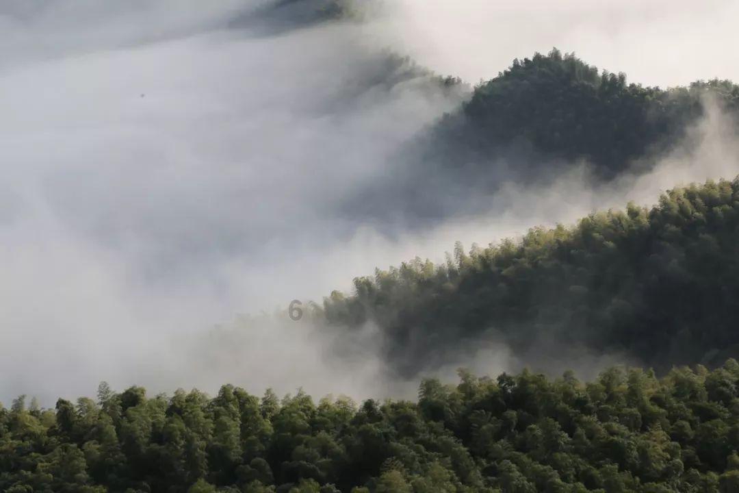 燃烧吧大脑装瓶子游戏