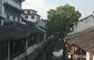 小猫钓鱼游戏龙王版有船